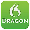 dragon1.jpg